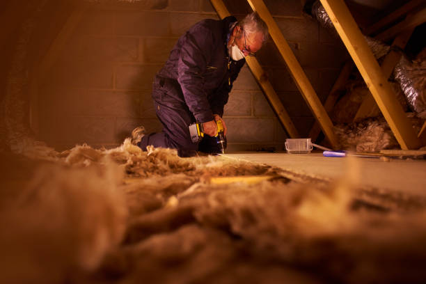 Insulation Repair Services in Stepping Stone, CO